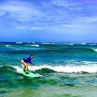 photo of Stephanie P.