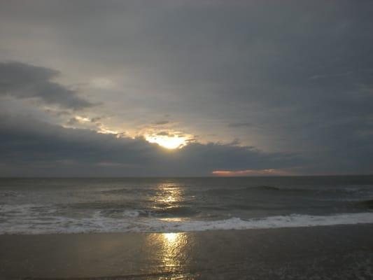 Photo of Suzanne S.