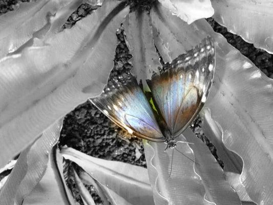 Photo of Elizabeth F.