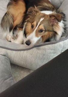 Photo of Christopher Q.