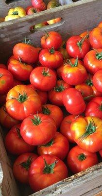 photo of Vladimir V.