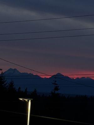 photo of Carolena D.