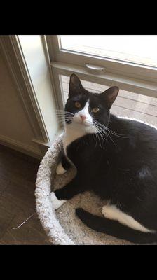 photo of Pixelated S.