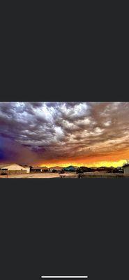 Photo of Mikenna M.