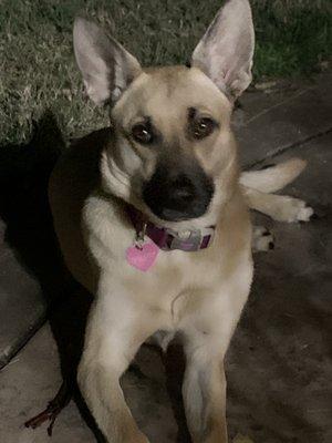 photo of Kathleen M.