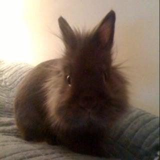 photo of Catherine S.