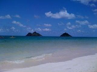 photo of Michelle H.