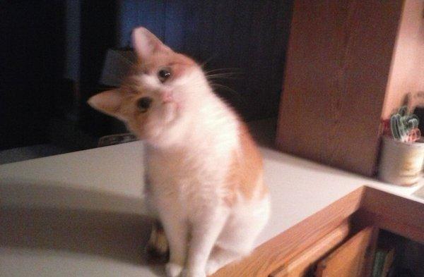 photo of Willamina J.