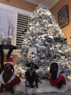 photo of Martha P E.