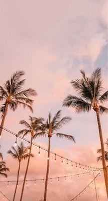 photo of Caroline M.