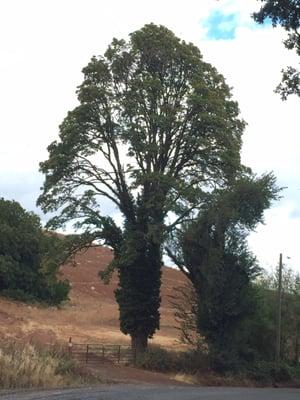 photo of Jeannette M.