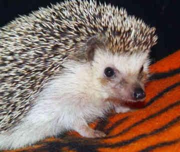 Photo of Ruby R.
