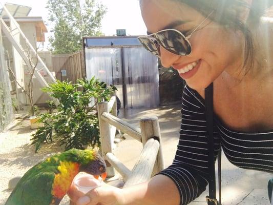 photo of Dominique C.