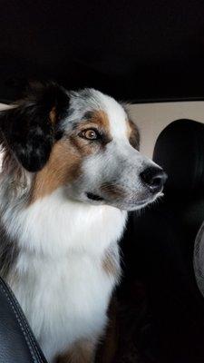 photo of Jennifer S.