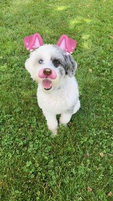 photo of Michelle P.