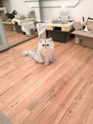 photo of Priscilla C.