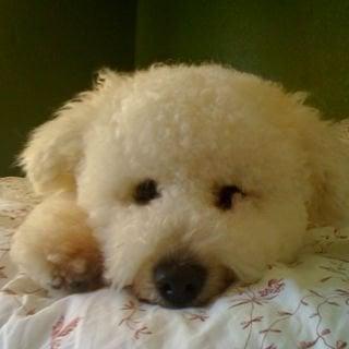 photo of Kristine R.