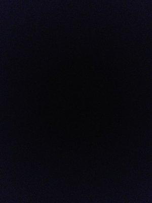 Photo of Bunny L.
