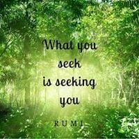 photo of Jennifer J.