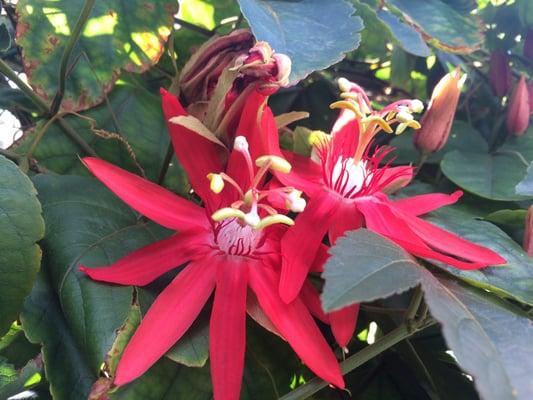 Photo of Georgina G.