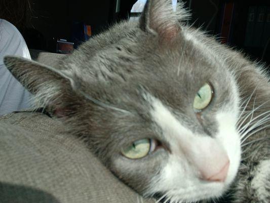 Photo of Caleb P.