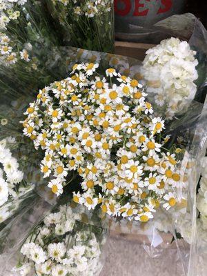 photo of Sophanary N.