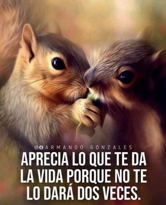 Photo of Paola S.