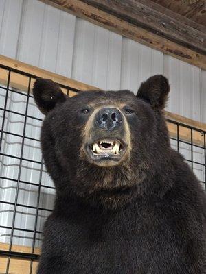 photo of Christine U.