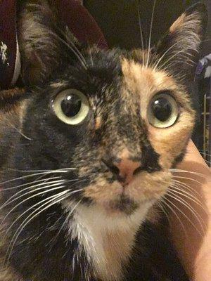 Photo of Ruby C.