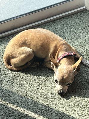 photo of Annelise R.