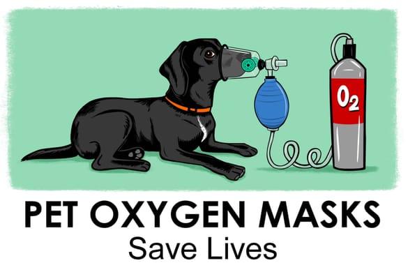 photo of Emma Zen F.