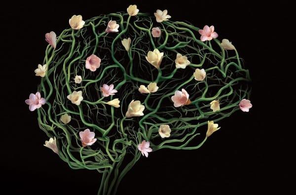 photo of Bernadette D.