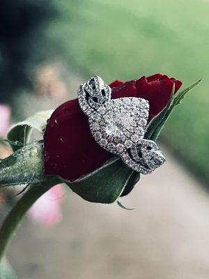 photo of Mercedes R.