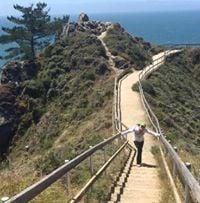 photo of Lashelle T.