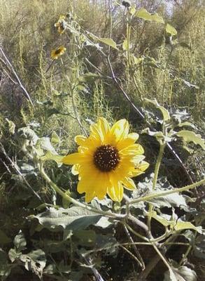 photo of Michelle S.