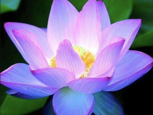 Photo of Linda Anne J.