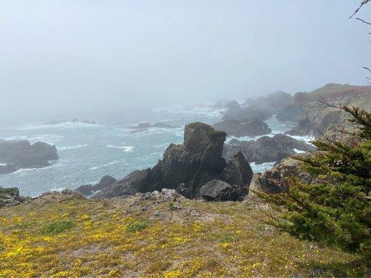 photo of Jennifer H.