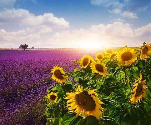 photo of Jennifer B.