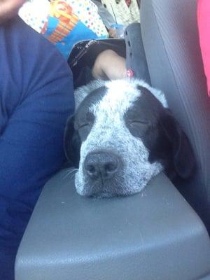 photo of Stephanie S.