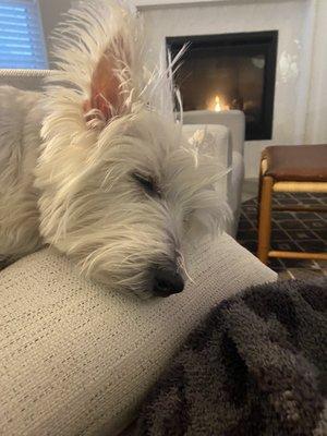 photo of Stephanie J.