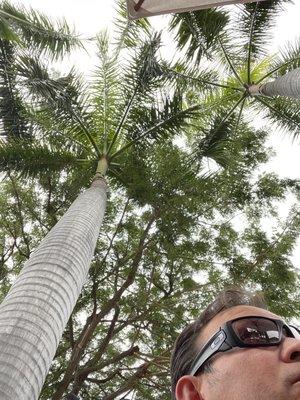 Photo of Mike P.