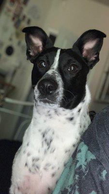 Photo of Elizabeth P.