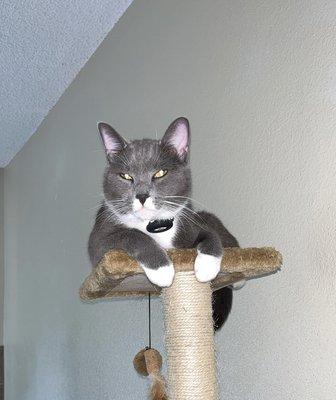 Photo of Genevieve P.