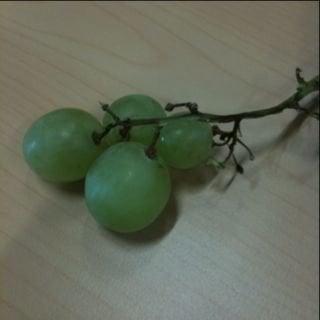 photo of Jonathan T.