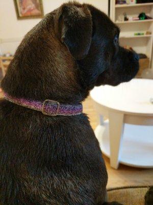 photo of Alexander E. K.