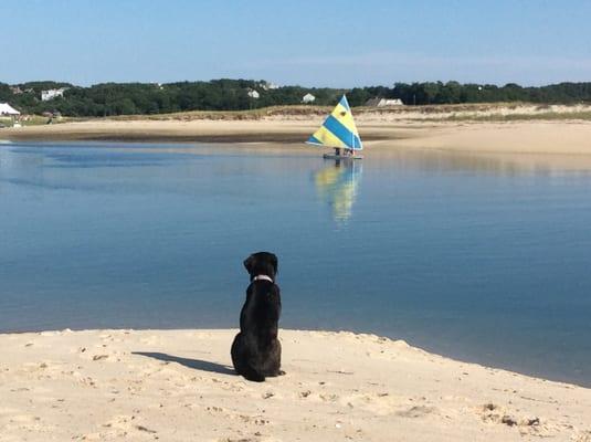 photo of Christine B.