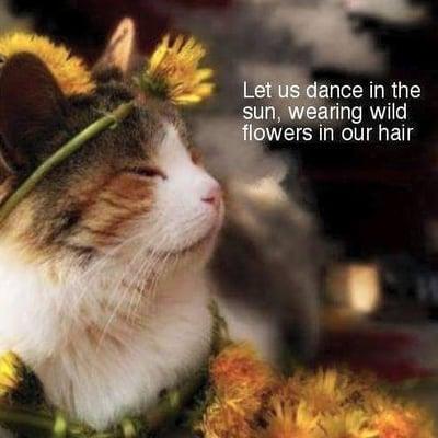 photo of Cathleen T.