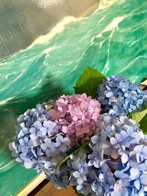 photo of Geraldine G.