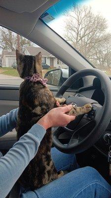 photo of Fredisarous K.