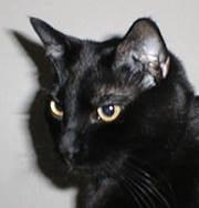 Photo of Christopher W.